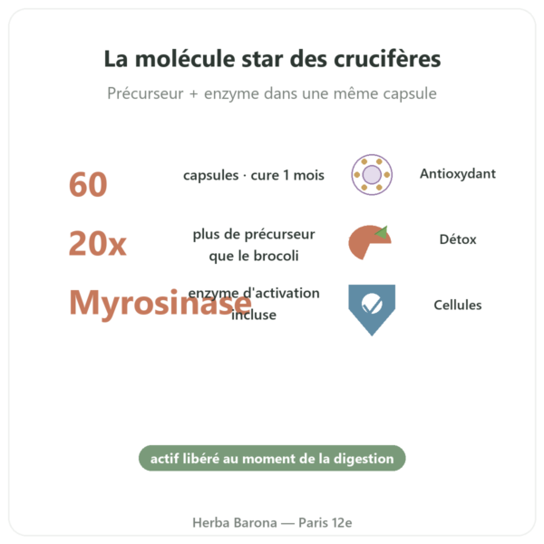 Broccomax Sulforaphane Extrait Broccoli Jarrow Formulas – 60 capsules bienfaits et chiffres Paris Herba Barona