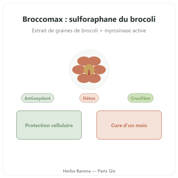 Broccomax Sulforaphane Extrait Broccoli Jarrow Formulas – 60 capsules presentation Paris Herba Barona