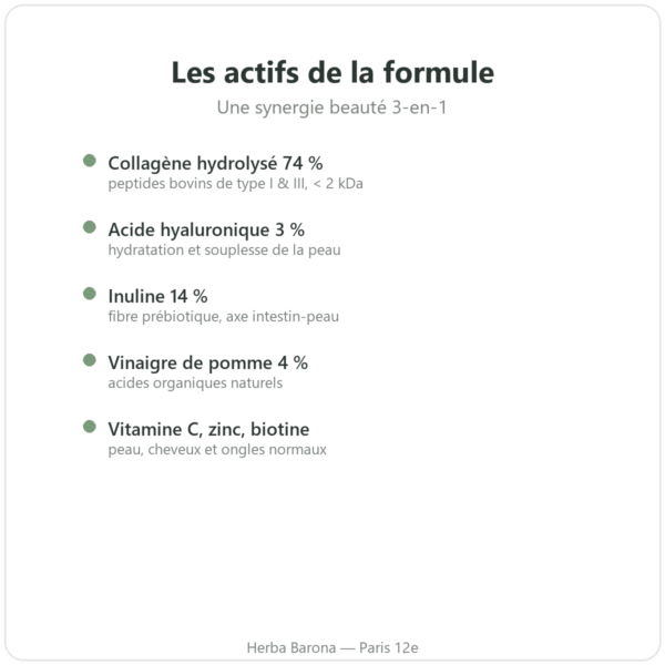 Collagene Beaute Jarmino les actifs de la formule hyaluronique inuline Paris Herba Barona