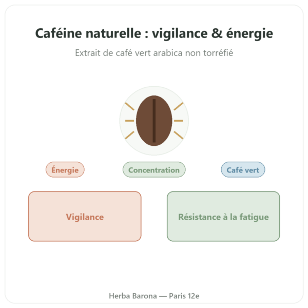 Caféine Naturelle Nutrimuscle 30 gélules presentation Paris Herba Barona