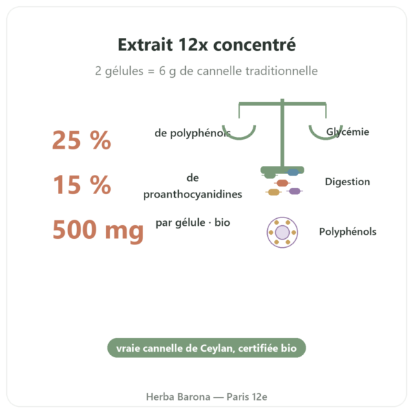 Cannelle de Ceylan – 50% polyphénols – Dynveo -500mg / 60 gélules bienfaits et chiffres Paris Herba Barona