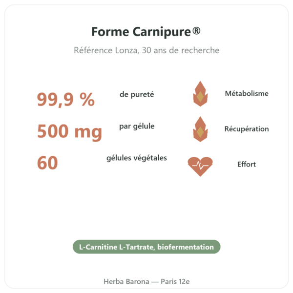 Carnitine (tartrate) Carnipure® – 500mg / 60 gélules Dynveo bienfaits et chiffres Paris Herba Barona