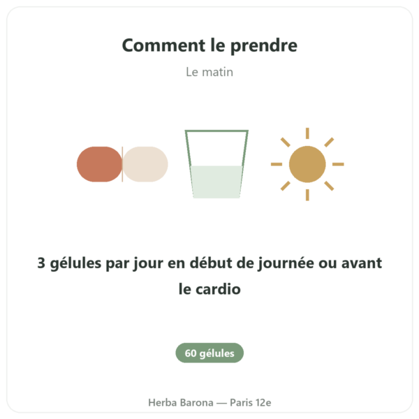 Carnitine (tartrate) Carnipure® – 500mg / 60 gélules Dynveo mode emploi conseil de prise Paris Herba Barona
