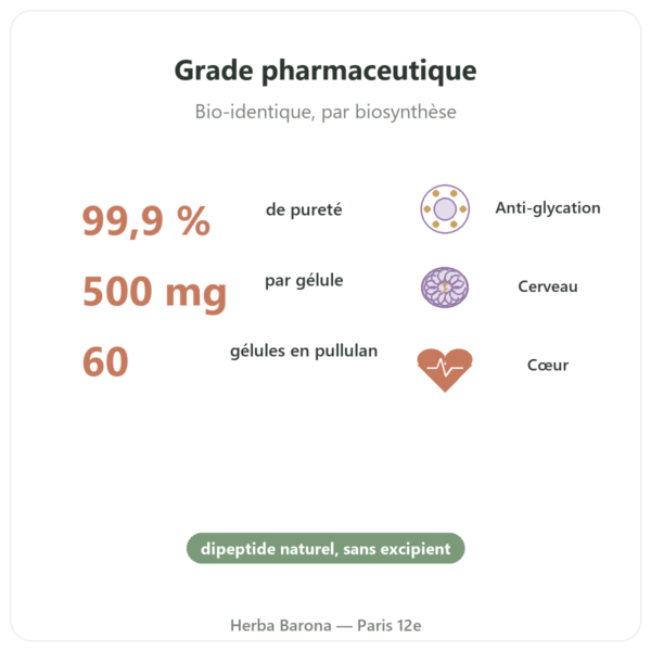 Carnosine 500 mg 60 gélules DYNVEO bienfaits et chiffres Paris Herba Barona