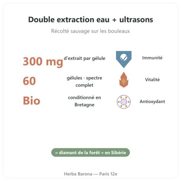 Chaga Bio – SIHO 60 gélules bienfaits et chiffres Paris Herba Barona