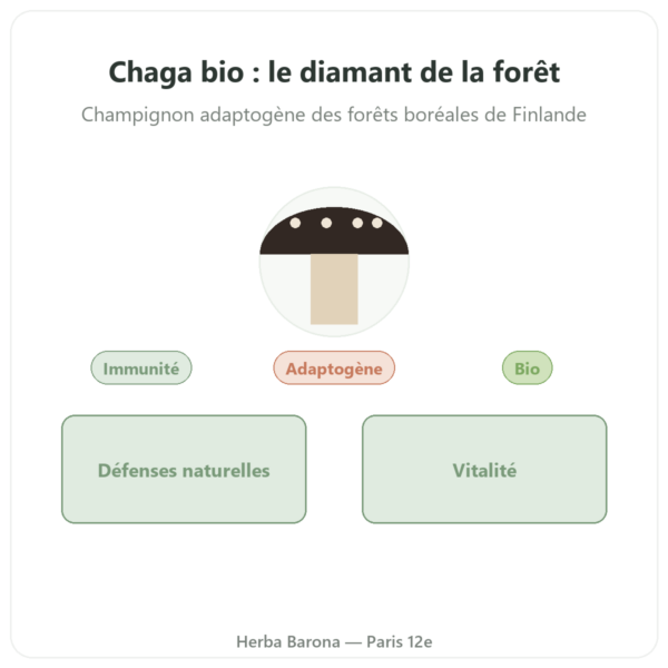 Chaga Bio – SIHO 60 gélules presentation Paris Herba Barona