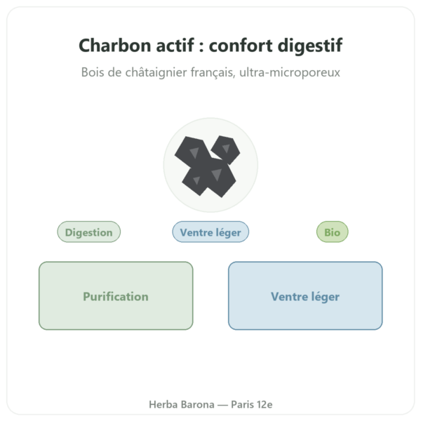 Charbon végétal actif 120 g en poudre – Dynveo presentation Paris Herba Barona