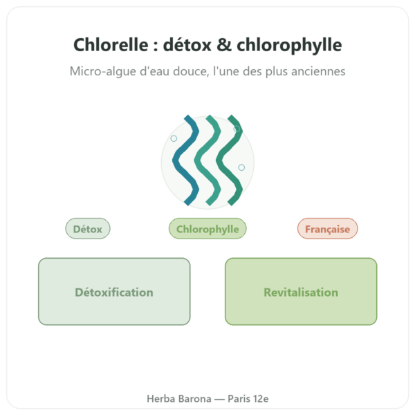 Chlorelle – Flamant vert – 180 comprimés presentation Paris Herba Barona