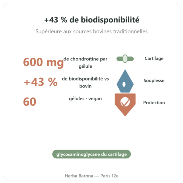 Chondroïtine Sulfate 600 mg – 60 gélules – Dynveo bienfaits et chiffres Paris Herba Barona