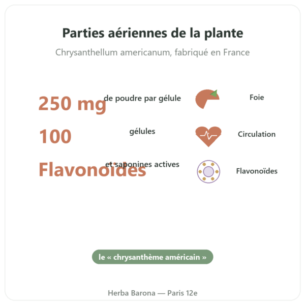 Chrysantellum – Neodiet 100 gélules bienfaits et chiffres Paris Herba Barona