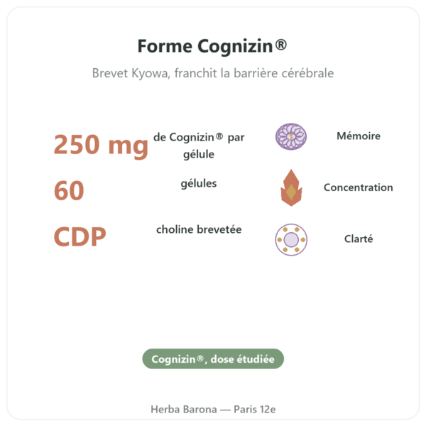 Citicoline Cognizin® : CDP Choline – Dynveo – 60 gélules bienfaits et chiffres Paris Herba Barona