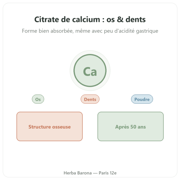 Citrate de Calcium en Poudre Pure – Now Foods – 227g presentation Paris Herba Barona