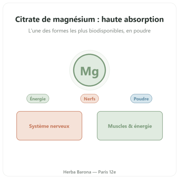 Citrate de Magnesium en Poudre Pure Now Foods 227g presentation Paris Herba Barona