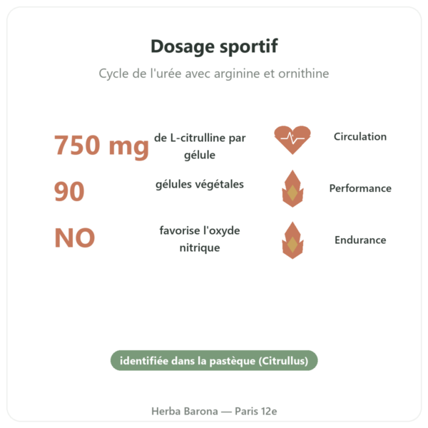 Citrulline 750mg – Now Foods – 90 gélules bienfaits et chiffres Paris Herba Barona
