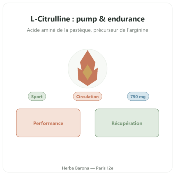 Citrulline 750mg – Now Foods – 90 gélules presentation Paris Herba Barona