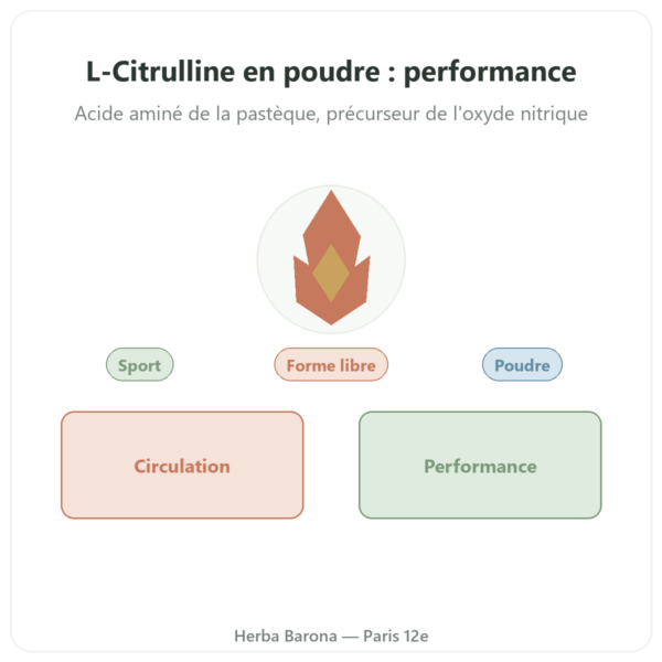 Citrulline en poudre 200 gr Doctor's Best presentation Paris Herba Barona