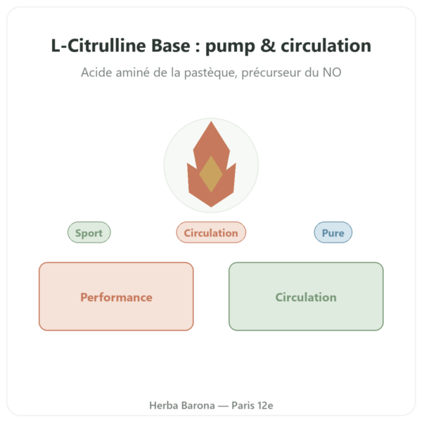 Citrulline L-Citrulline Base – Nutrimuscle 90 gélules presentation Paris Herba Barona