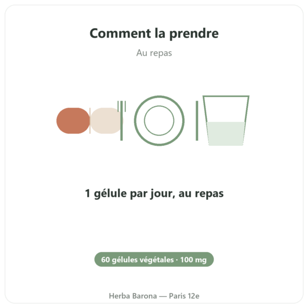 Coenzyme Q10 100 mg – Distriform' – 60 gélules mode emploi conseil de prise Paris Herba Barona