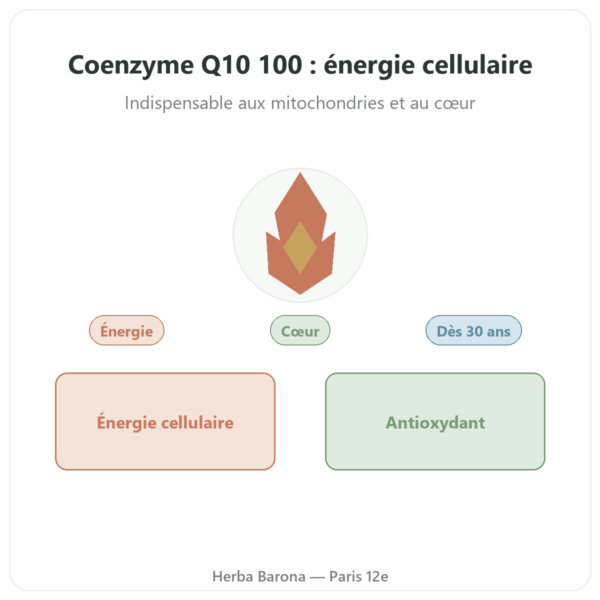 Coenzyme Q10 100 mg – Distriform' – 60 gélules presentation Paris Herba Barona