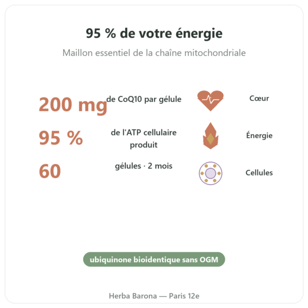 Coenzyme Q10 – SIHO – 200 mg – 60 gélules bienfaits et chiffres Paris Herba Barona