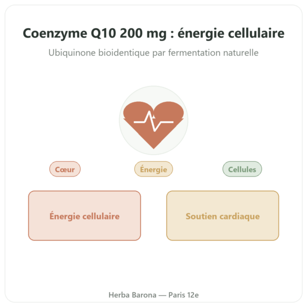 Coenzyme Q10 – SIHO – 200 mg – 60 gélules presentation Paris Herba Barona