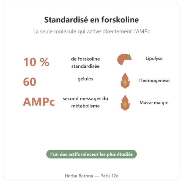 Coleus Forskohlii – Ayur-vana – 60 gélules bienfaits et chiffres Paris Herba Barona