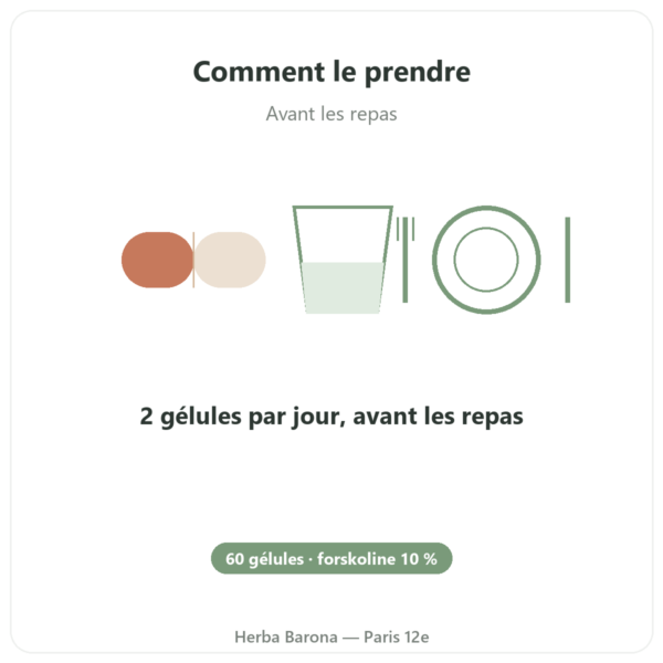 Coleus Forskohlii – Ayur-vana – 60 gélules mode emploi conseil de prise Paris Herba Barona