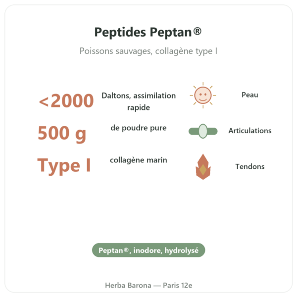 Collagène marin bio hydrolysé en poudre – peptides – Dynveo bienfaits et chiffres Paris Herba Barona