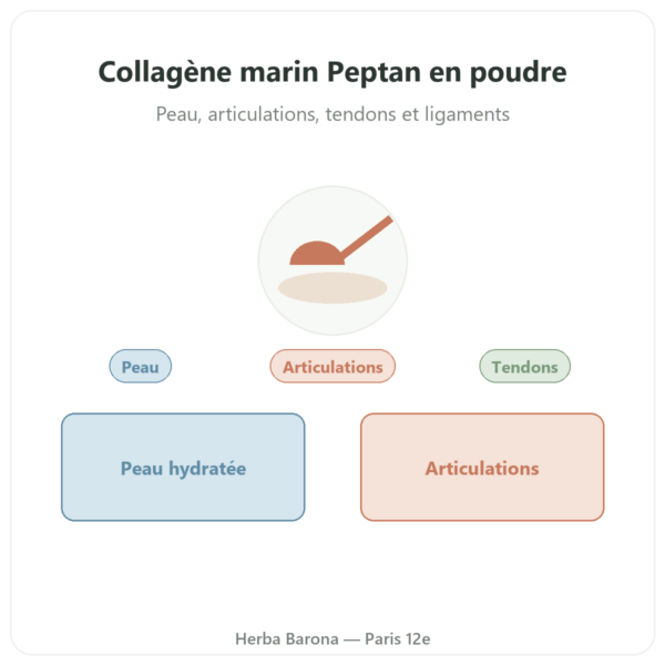 Collagène marin bio hydrolysé en poudre – peptides – Dynveo presentation Paris Herba Barona
