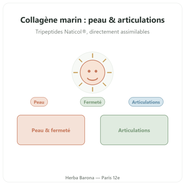 Collagène marin concentré – Dynveo – 120 gélules presentation Paris Herba Barona