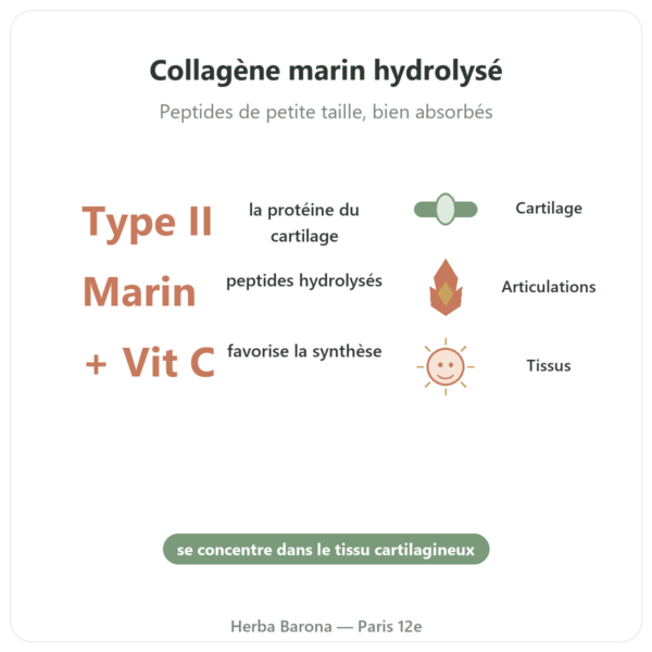 Collagène Marin de Type II Vital osmose en gélules bienfaits et chiffres Paris Herba Barona