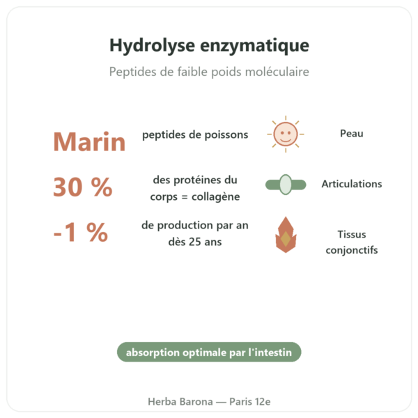 Collagène marin en gélules hydrolysé bienfaits et chiffres Paris Herba Barona