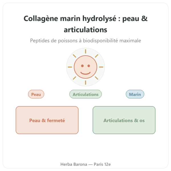 Collagène marin en gélules hydrolysé presentation Paris Herba Barona