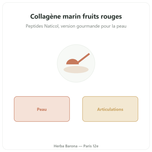 Collagène Marin en Poudre saveur fruits rouges – Novoma presentation Paris Herba Barona