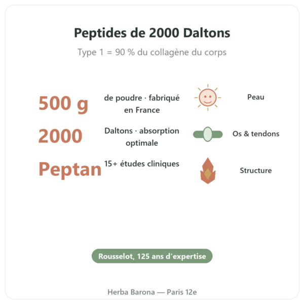 Collagène Peptide Type 1 Boeuf 500g – Nutrimuscle bienfaits et chiffres Paris Herba Barona