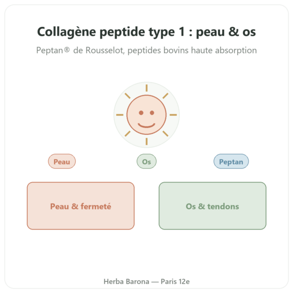 Collagène Peptide Type 1 Boeuf 500g – Nutrimuscle presentation Paris Herba Barona
