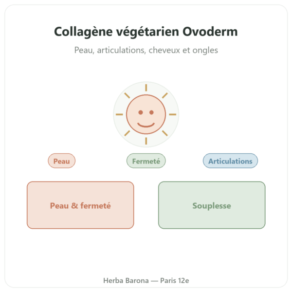 Collagène Végétarien – Dynveo – 60 gel – collagène, élastine, acide Hyaluronique presentation Paris Herba Barona