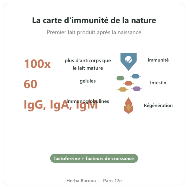 Colostrum – SIHO – 60 gélules bienfaits et chiffres Paris Herba Barona