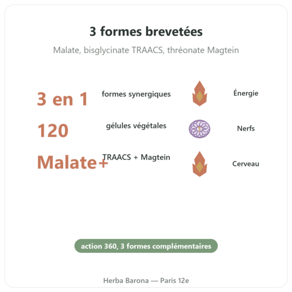 Complexe Magnésium 360 – Dynveo – 120 gélules bienfaits et chiffres Paris Herba Barona