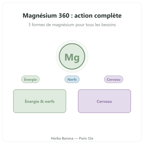 Complexe Magnésium 360 – Dynveo – 120 gélules presentation Paris Herba Barona