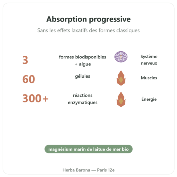 Complexe Magnésium – Nutrimuscle – 60 gélules bienfaits et chiffres Paris Herba Barona