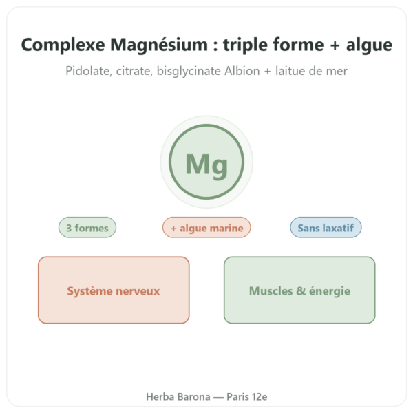 Complexe Magnésium – Nutrimuscle – 60 gélules presentation Paris Herba Barona