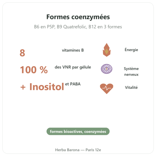 Complexe vitamines B – Multi B – 60 gélules – Dynveo bienfaits et chiffres Paris Herba Barona