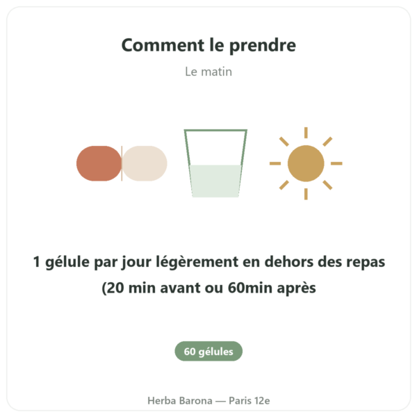 Complexe vitamines B – Multi B – 60 gélules – Dynveo mode emploi conseil de prise Paris Herba Barona