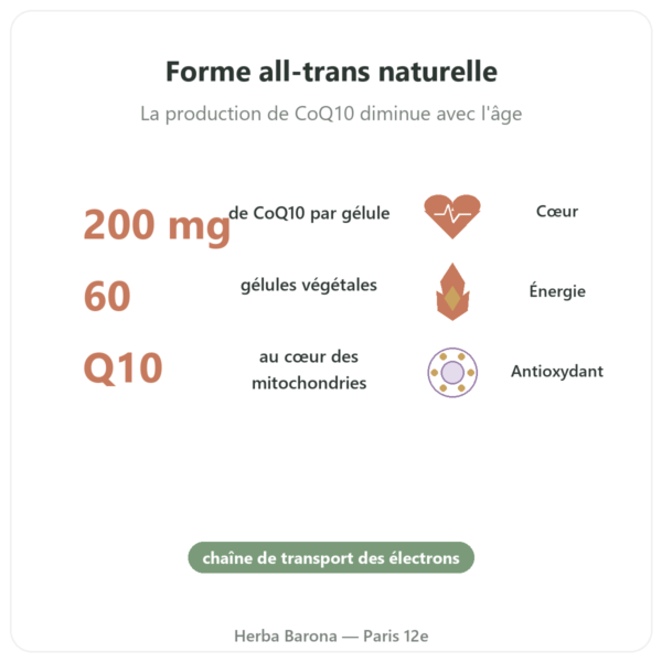 CoQ10 200mg NOW Foods 60 gélules végétales - Coenzyme Q10 bienfaits et chiffres Paris Herba Barona