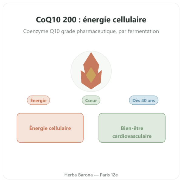 CoQ10 200mg NOW Foods 60 gélules végétales - Coenzyme Q10 presentation Paris Herba Barona