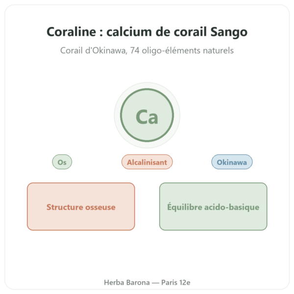 Coraline – Calcium de Corail – Distriform' presentation Paris Herba Barona