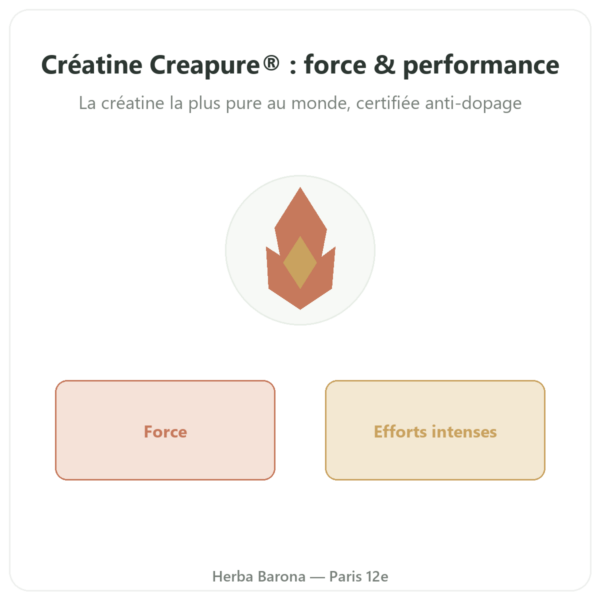 Creatine Creapure en Poudre 180 g – Novoma presentation Paris Herba Barona