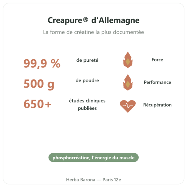 Créatine Monohydrate Creapure® 500 g – Nutrend bienfaits et chiffres Paris Herba Barona