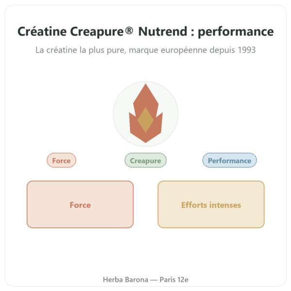 Créatine Monohydrate Creapure® 500 g – Nutrend presentation Paris Herba Barona